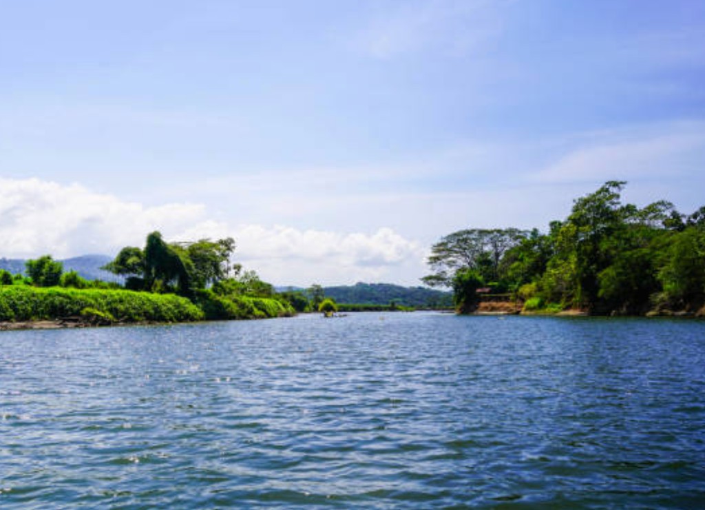 Tarcoles River boat tour through lush Costa Rica rainforest near Puntarenas